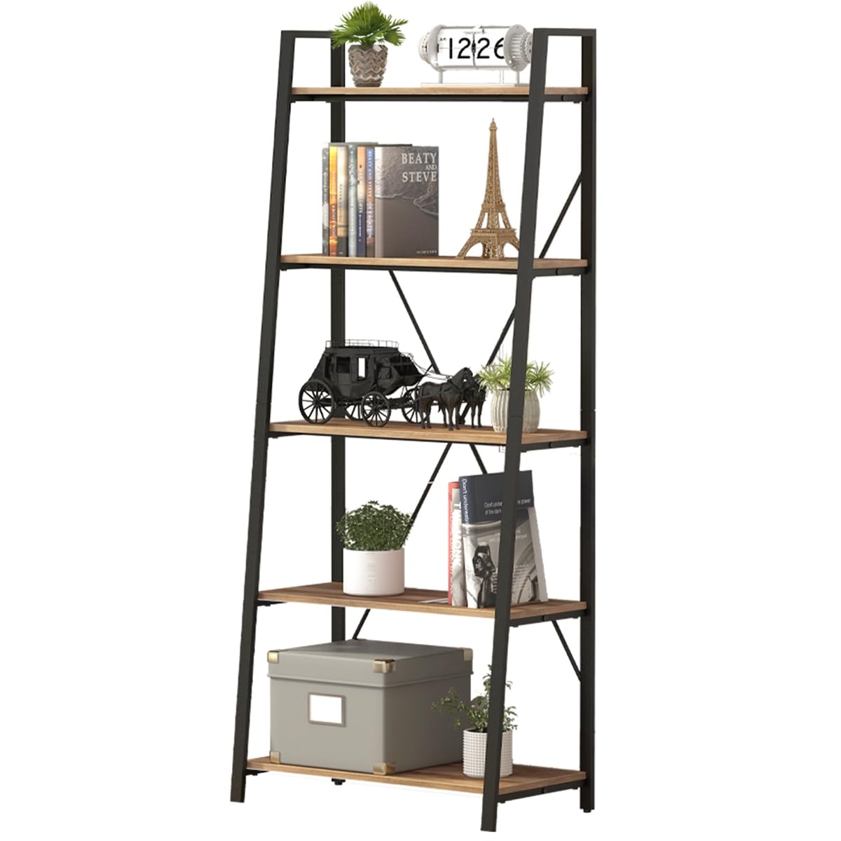 5 Tier Wood and Metal Ladder Bookshelf Q842759