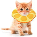 Extra Small Cone Collar K1545
