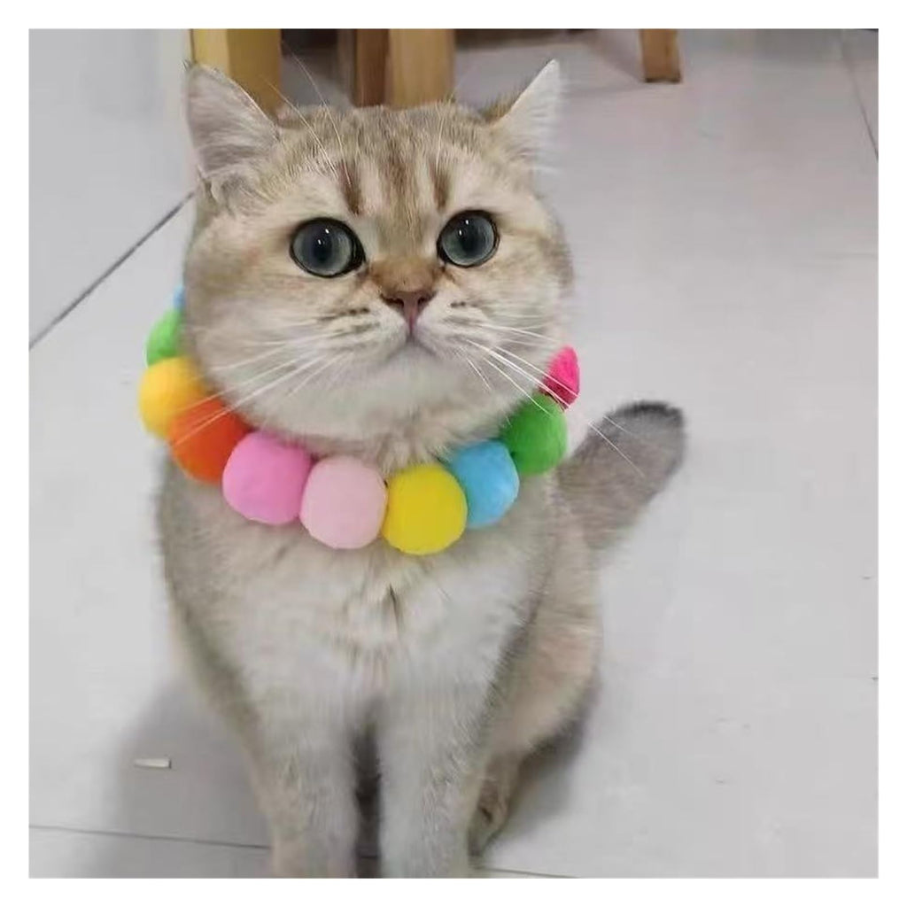 Dog Bow Tie Collar U64606