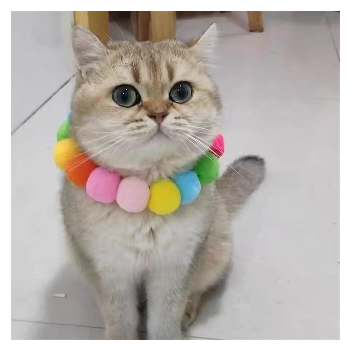 Dog Bow Tie Collar U64606