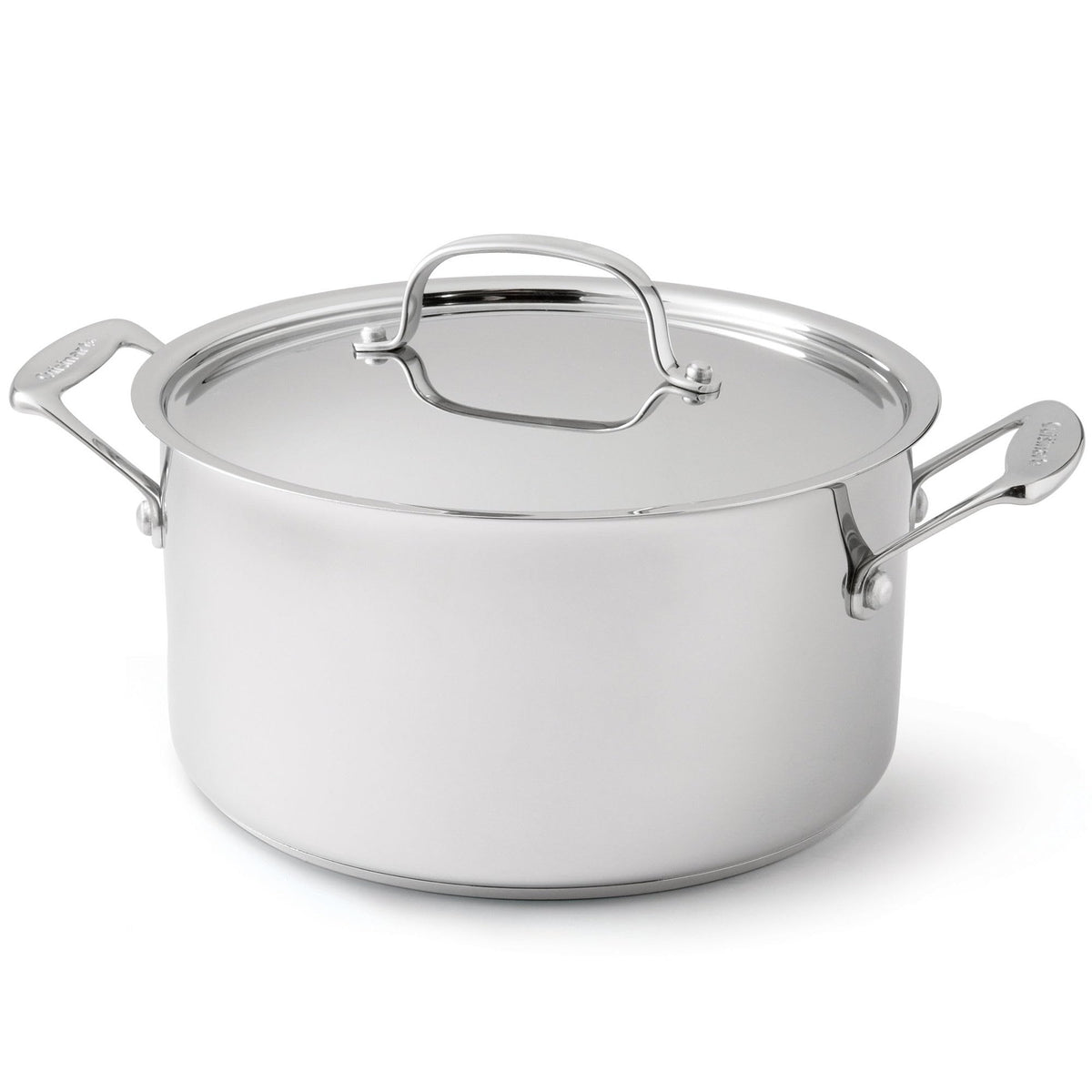 6-Quart Stainless Steel Stockpot with Cover Y771