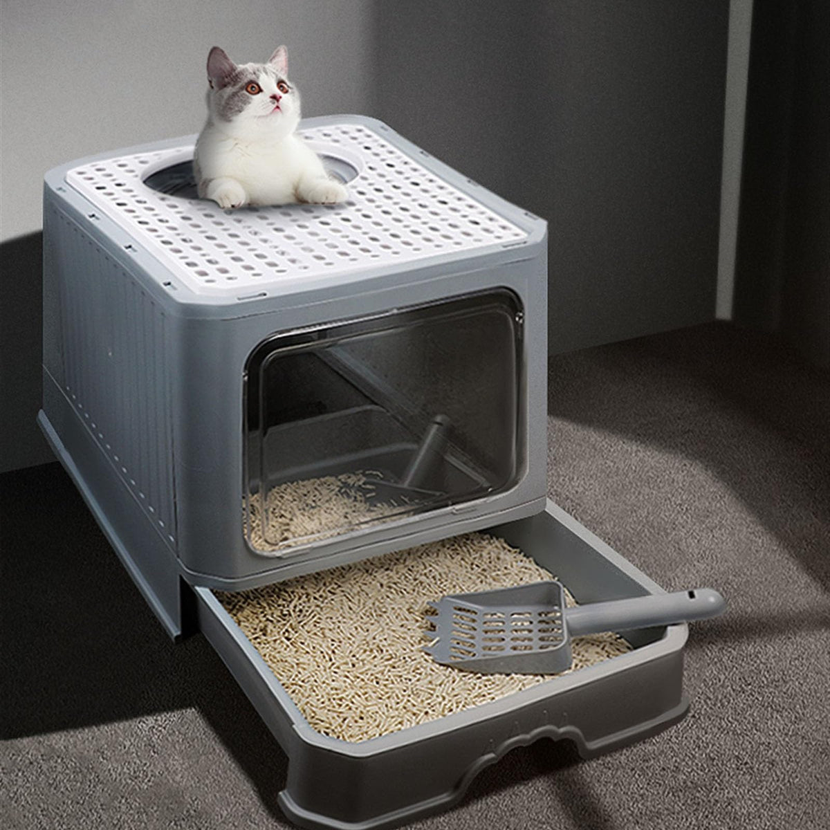 Enclosed Foldable Cat Litter Box with Lid V43816