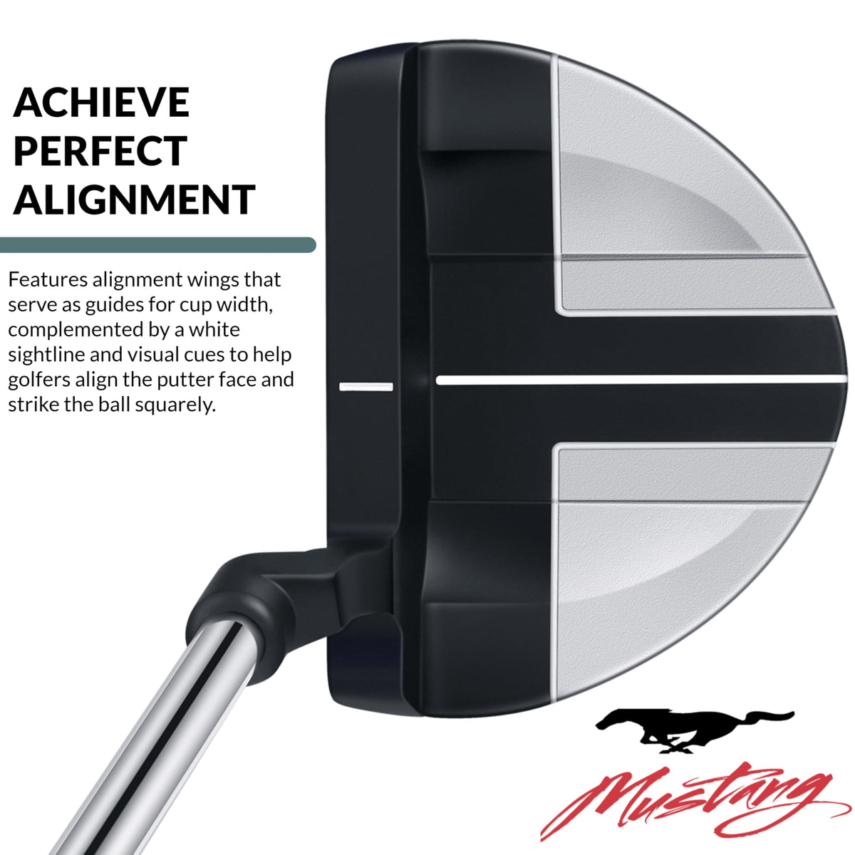Black Plumber’s Neck Putter F66415