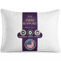 King Size Down Alternative Pillows Set of 2 X143
