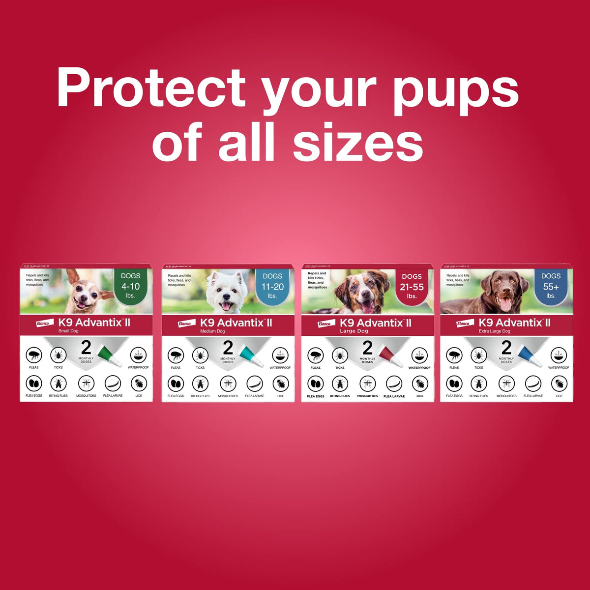 Flea, Tick & Mosquito Treatment & Prevention for Dogs Over 55 lbs C435202