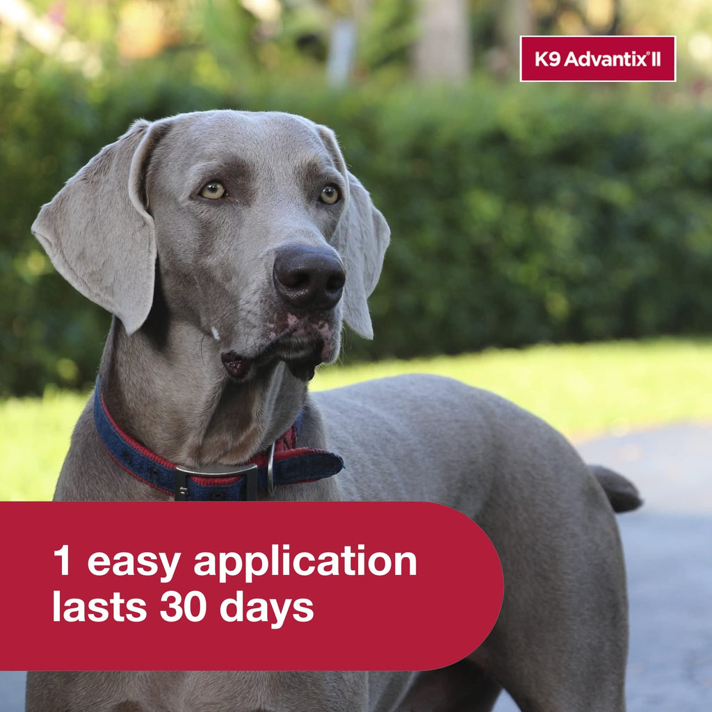 Flea, Tick & Mosquito Treatment & Prevention for Dogs Over 55 lbs C435202