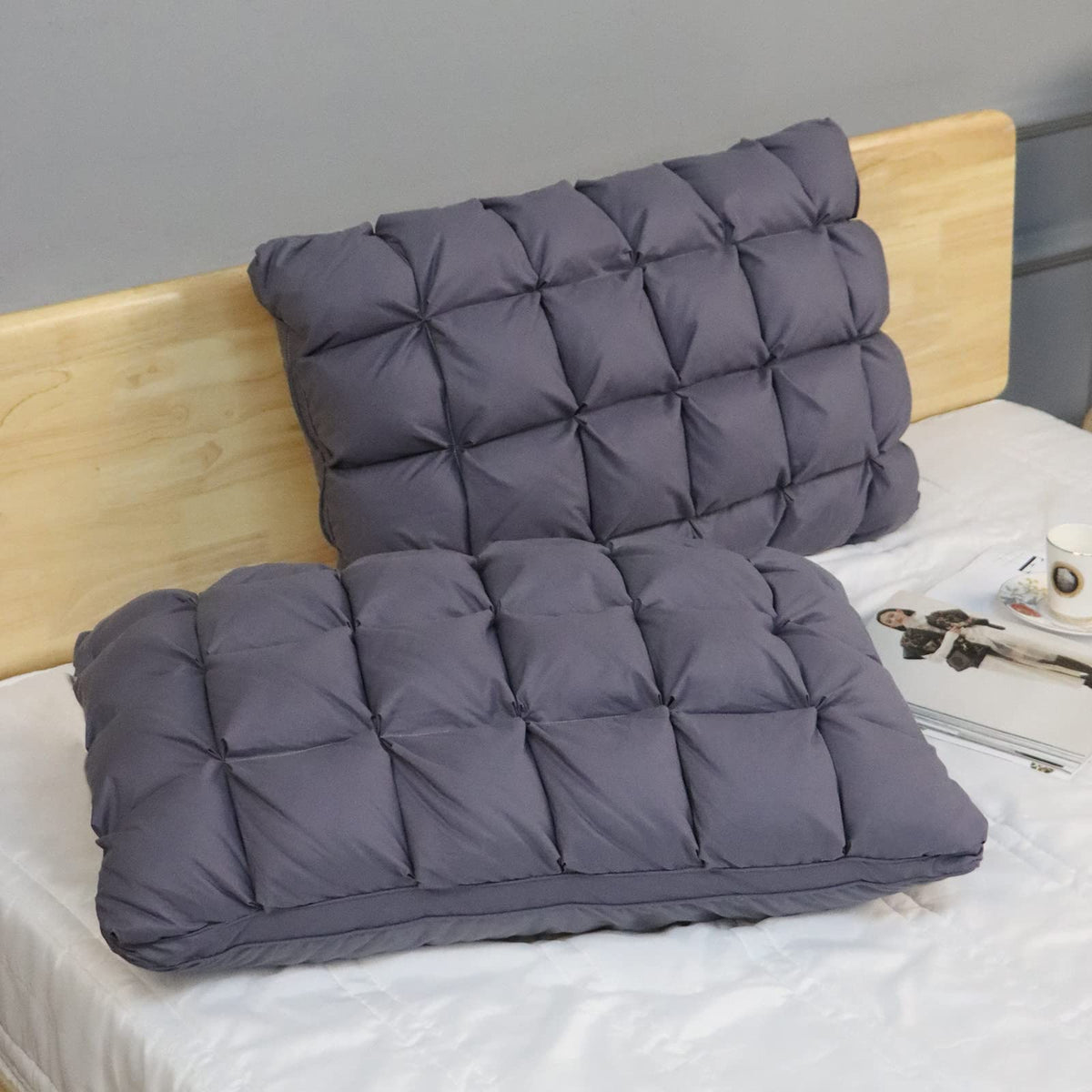 King Size Set of 2 Down Alternative Pillow Q82782