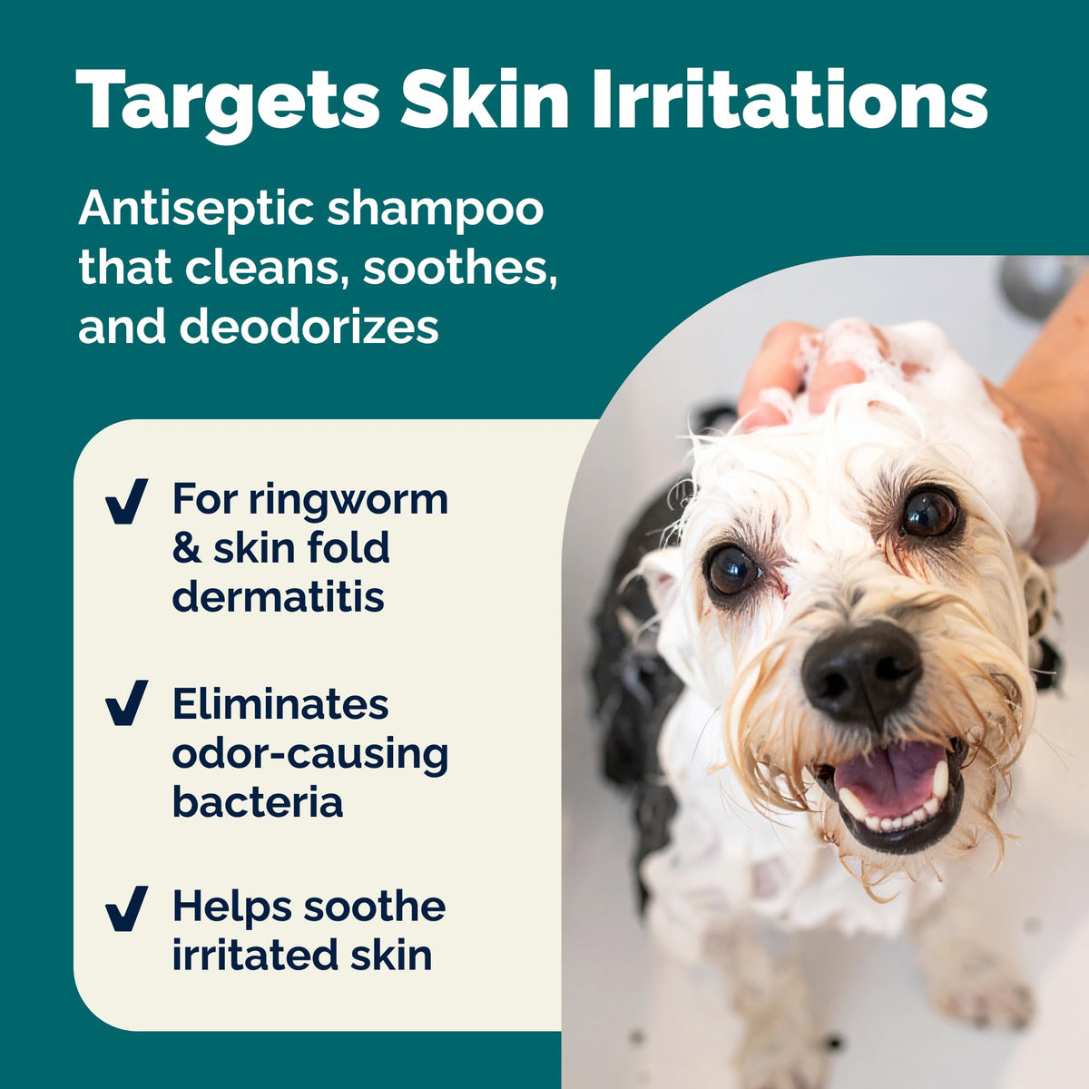 Medicated Cat & Dog Shampoo O71530