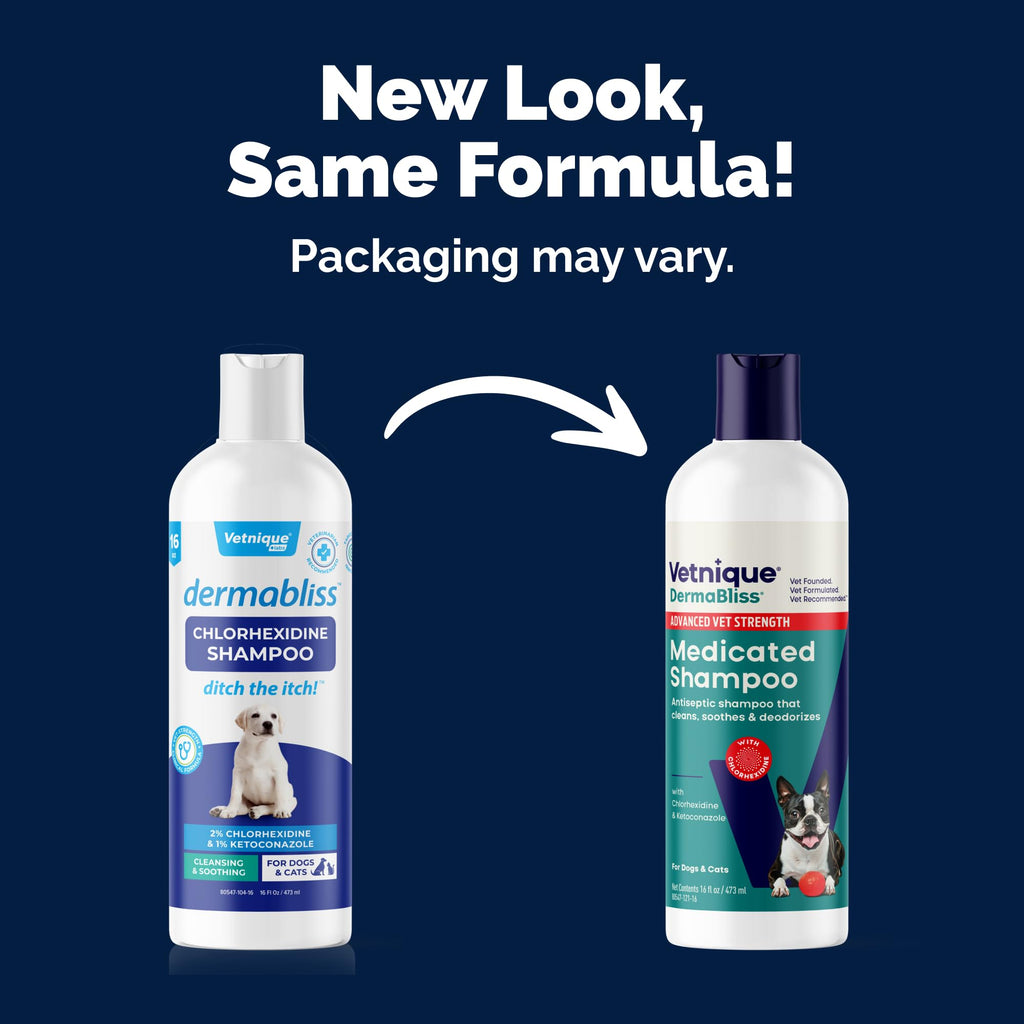 Medicated Cat & Dog Shampoo O71530