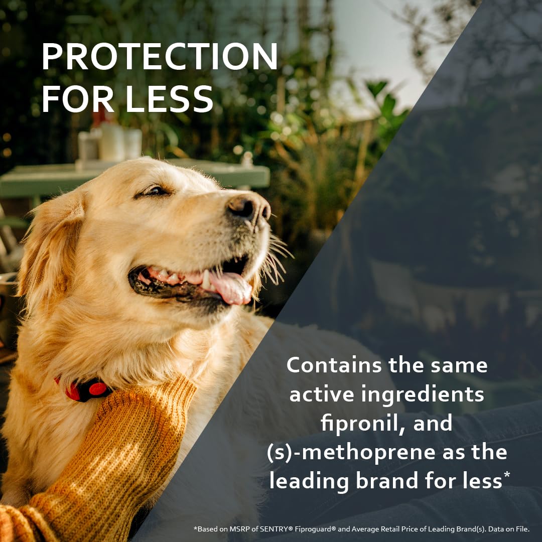 Flea and Tick Prevention for Dogs 23-44 Pounds 3 Month Supply Topical Flea Treatments Y441