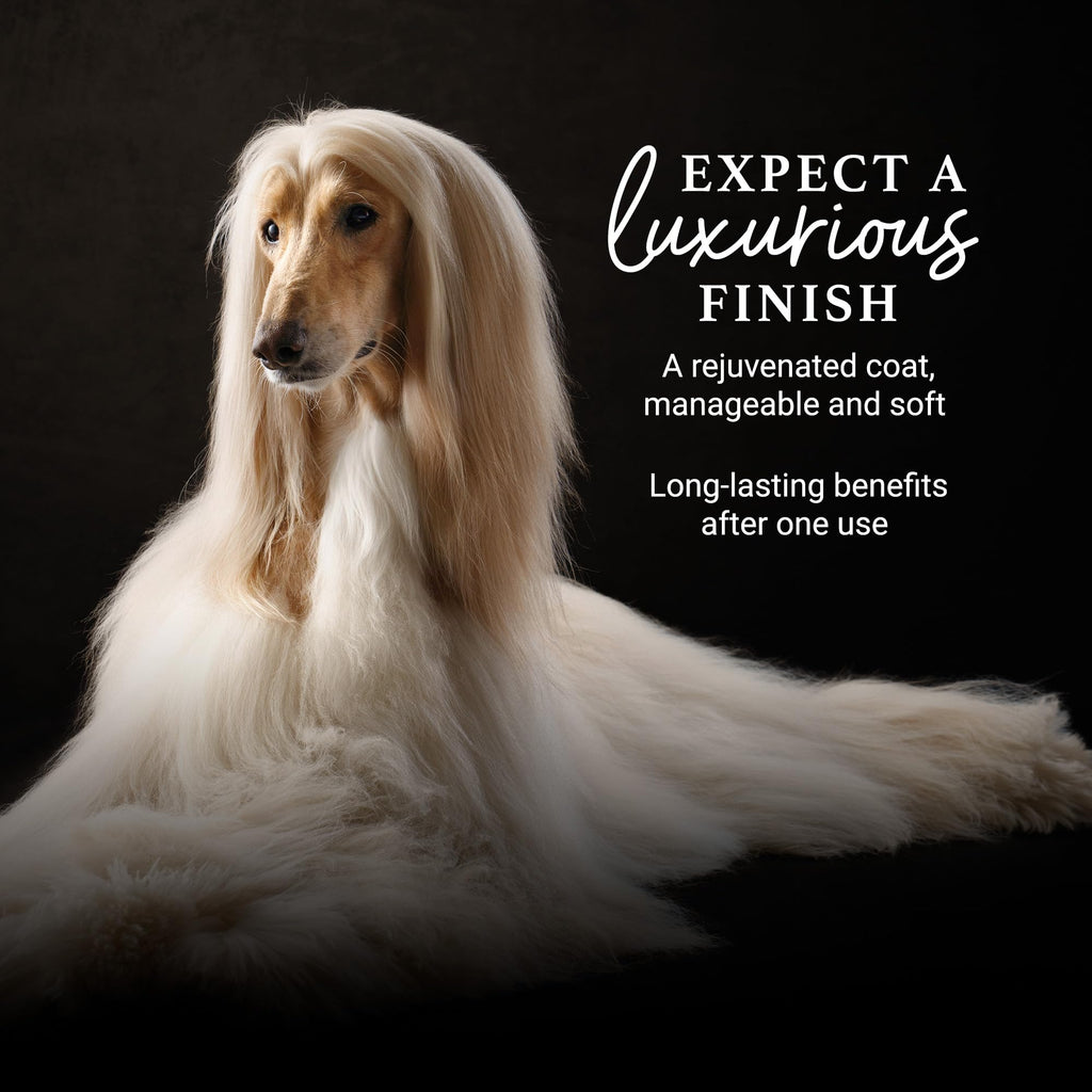 16 oz Dog Detangling Conditioner H203