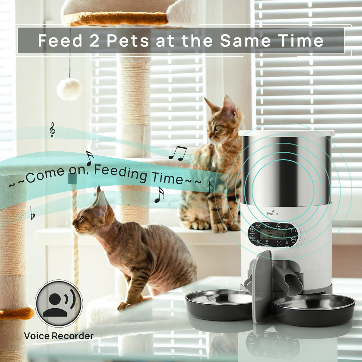 Automatic Pet Feeder with 4.5L Capacity W689