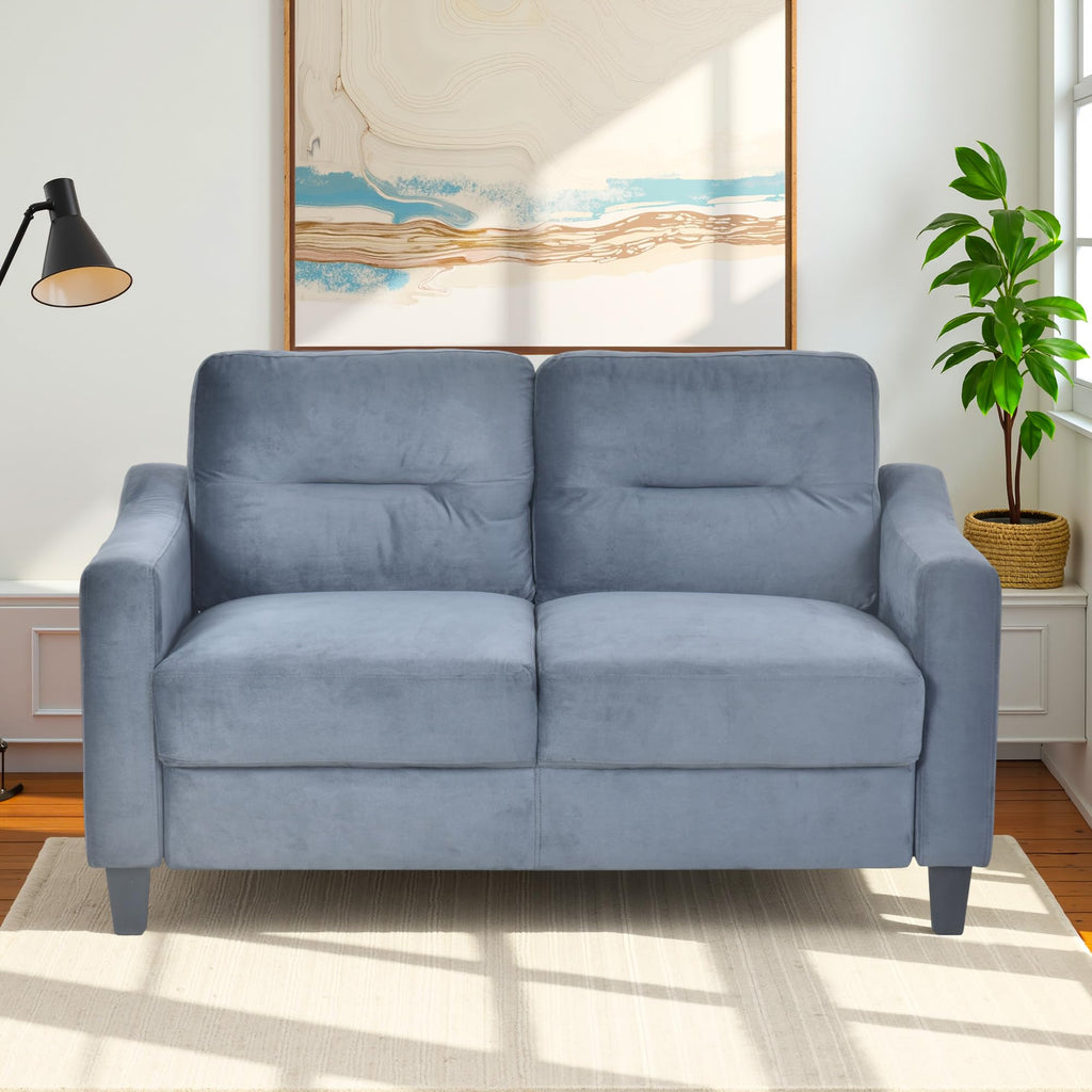Light Gray Velvet Upholstered Loveseat Sofa I627