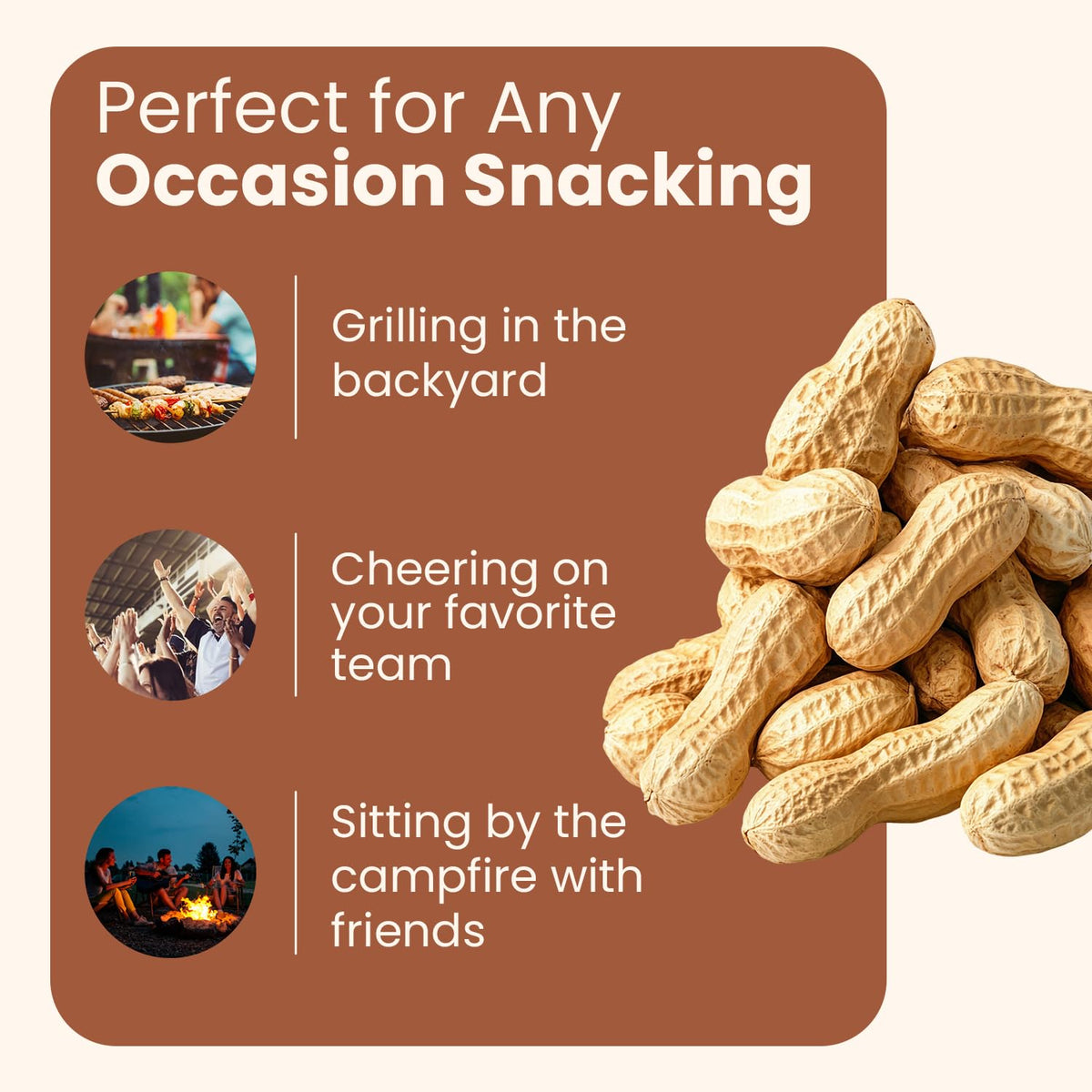 Unsalted Roasted In-Shell Peanuts 5 lb Bag T96703