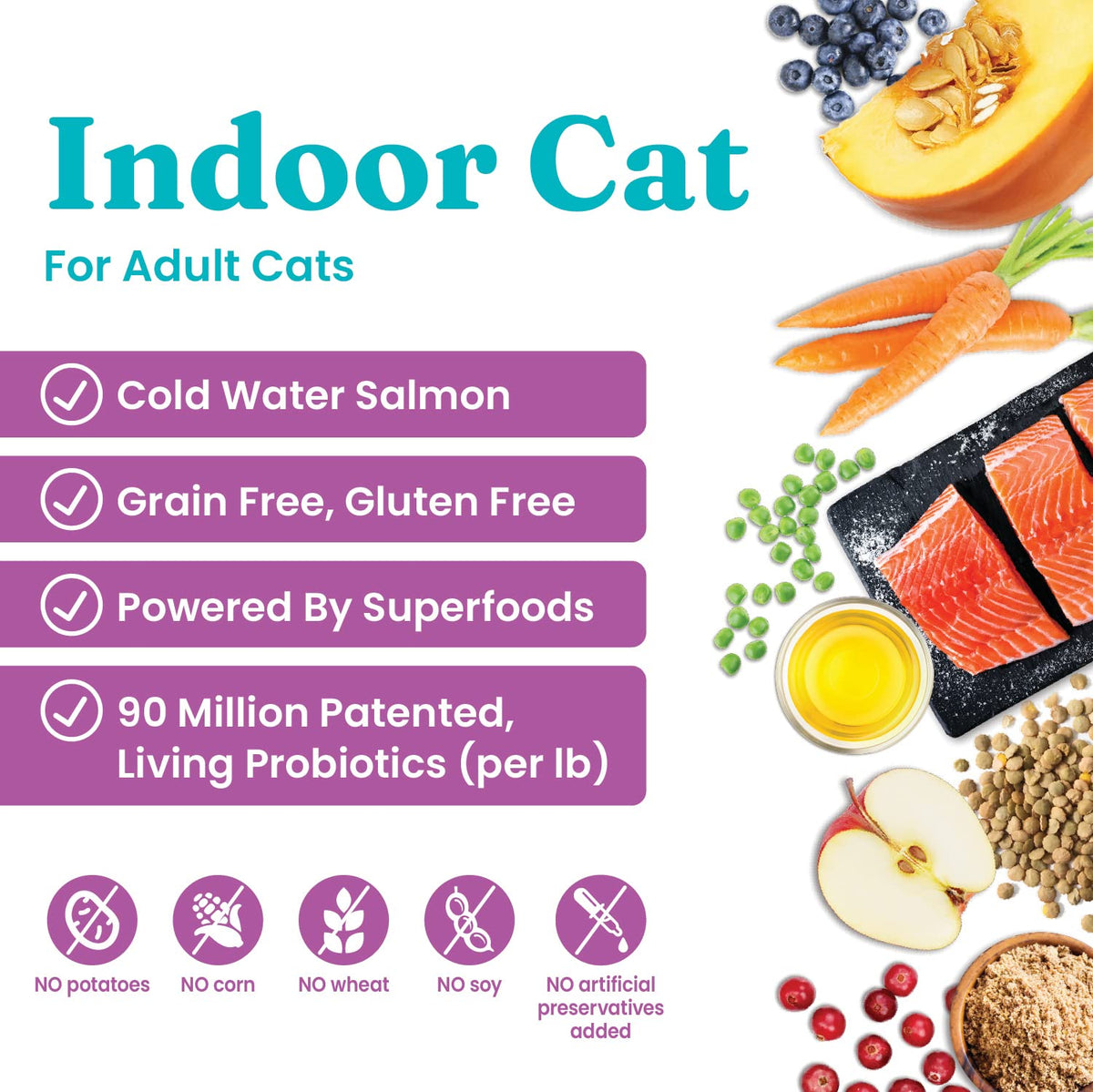 Salmon Dry Cat Food and Wet Cat Food Variety Pack J1755