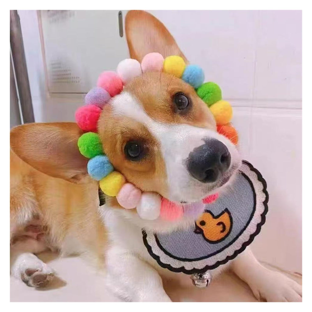 Dog Bow Tie Collar U64606