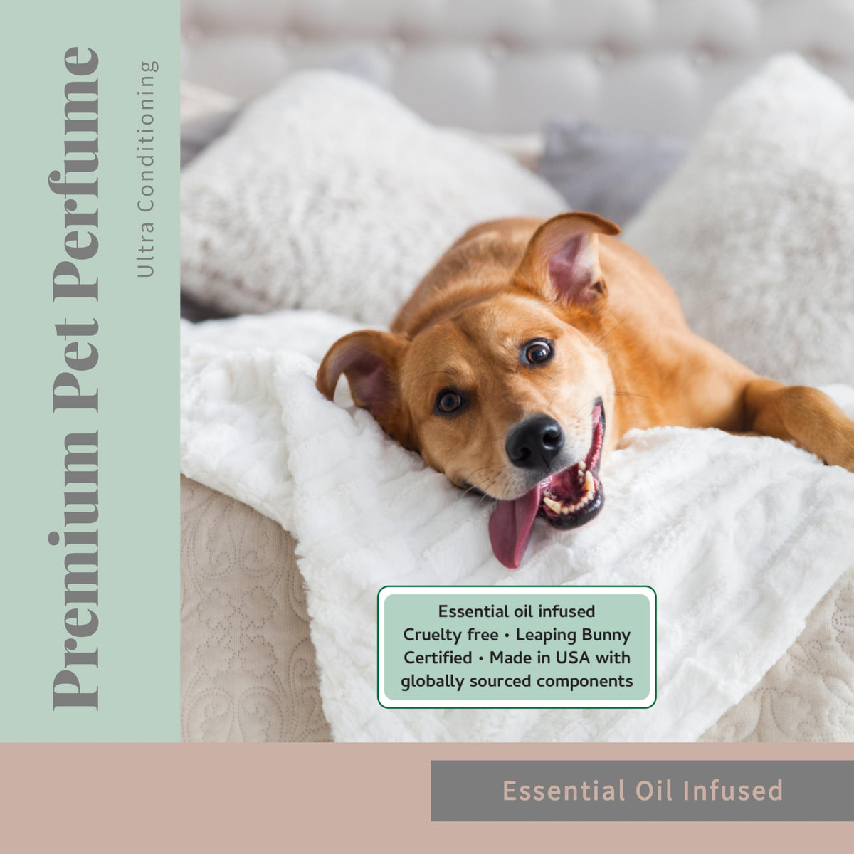 Pet Cologne and Deodorizer 8 oz F351