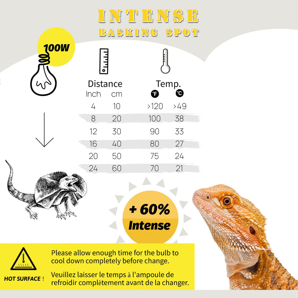 Reptile Light Fixture and Heat Lamp Bulb E5579