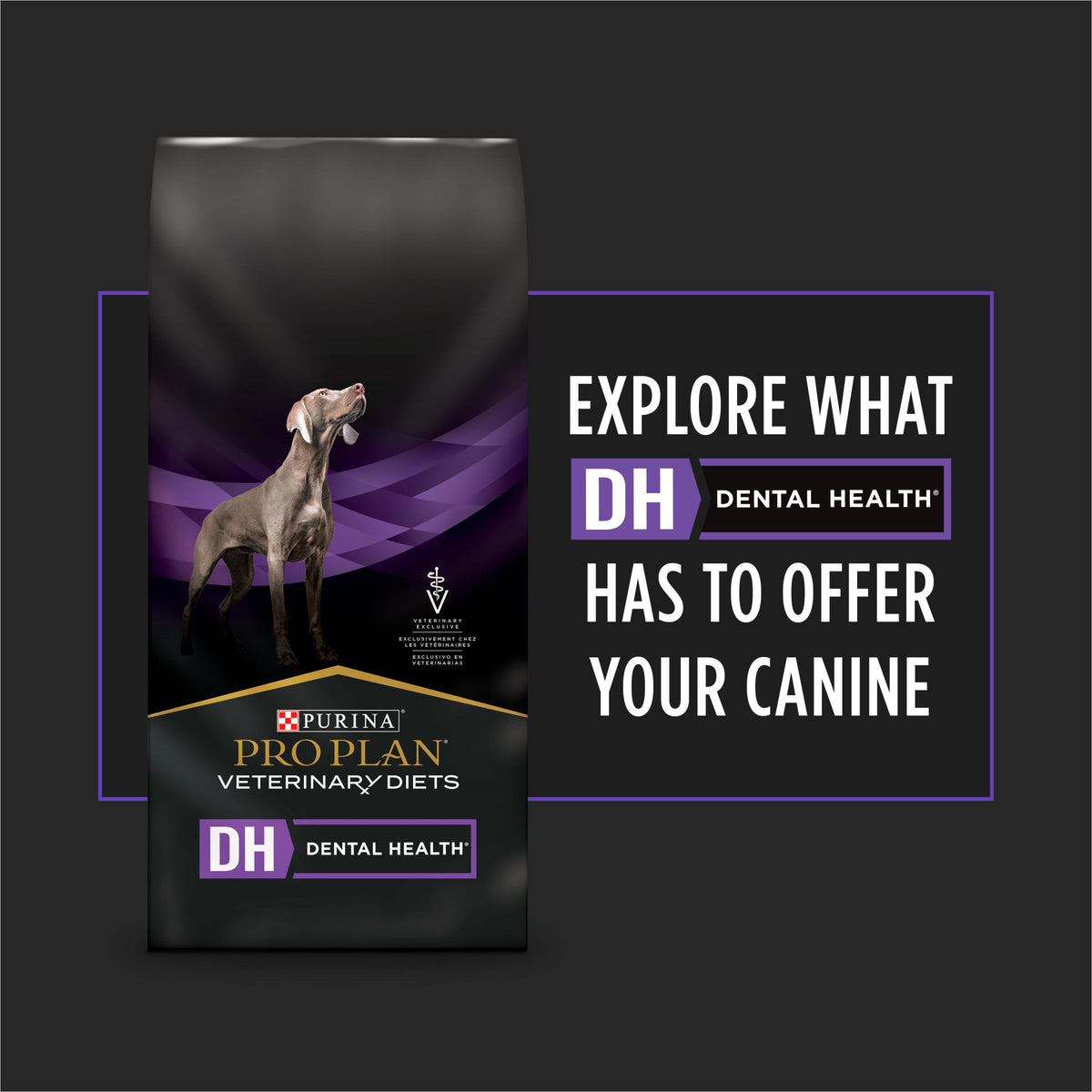 Dog Treats 5 oz I594