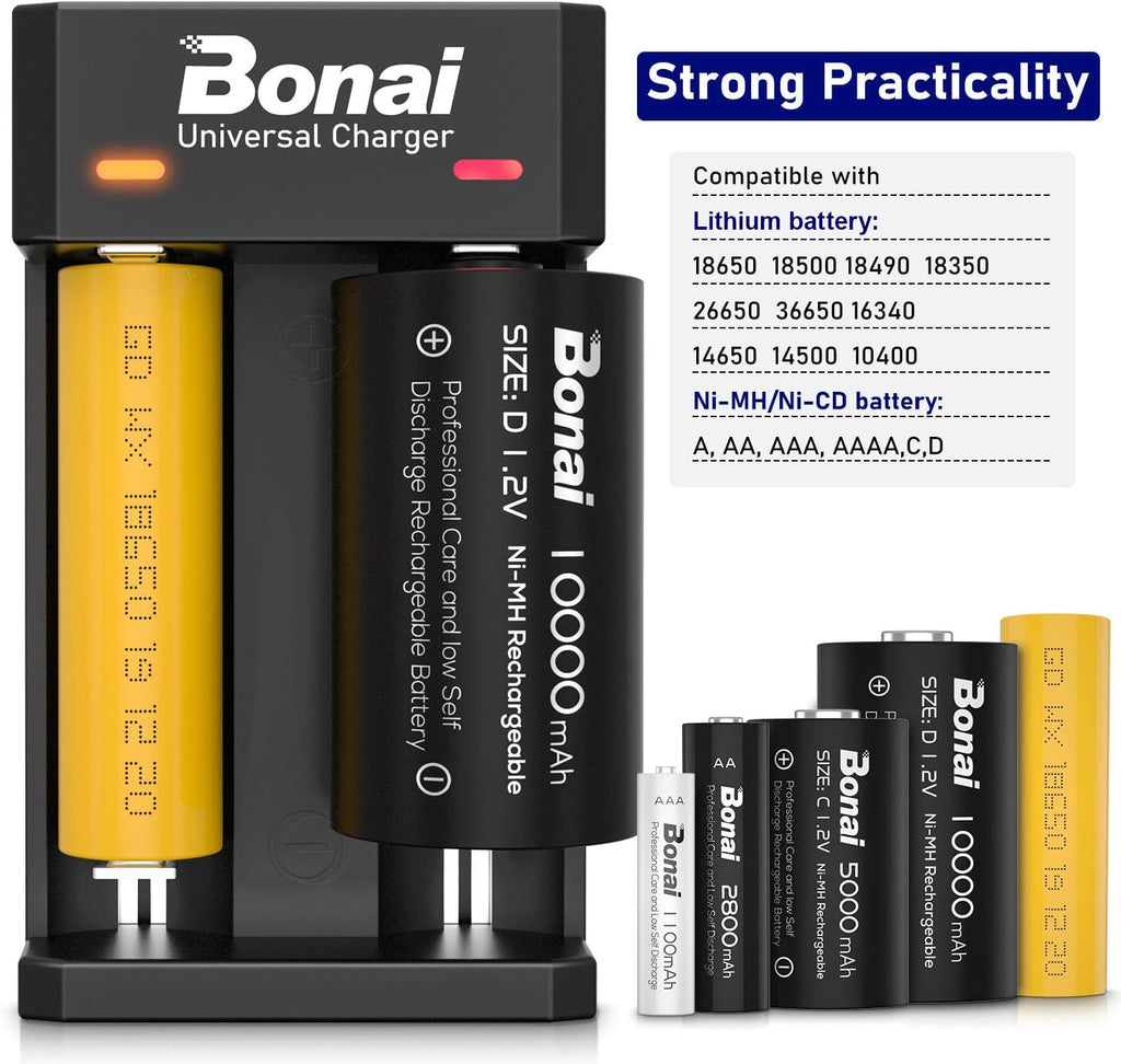 Battery Charger for AA AAA C D Rechargeable Batteries N20230