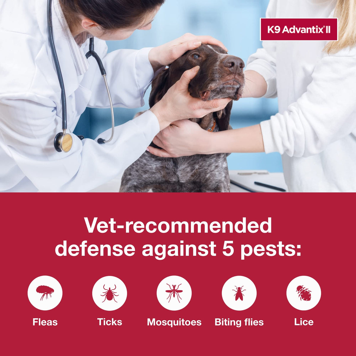 Flea, Tick & Mosquito Treatment & Prevention for Dogs Over 55 lbs C435202