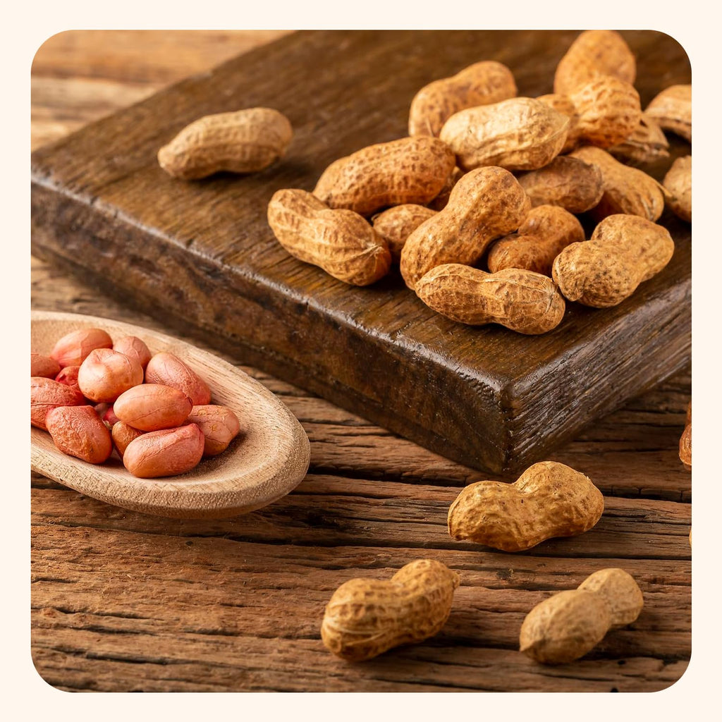 Unsalted Roasted In-Shell Peanuts 5 lb Bag T96703