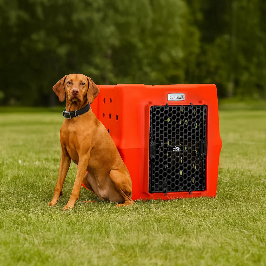 Orange Large Dog Crate E94412