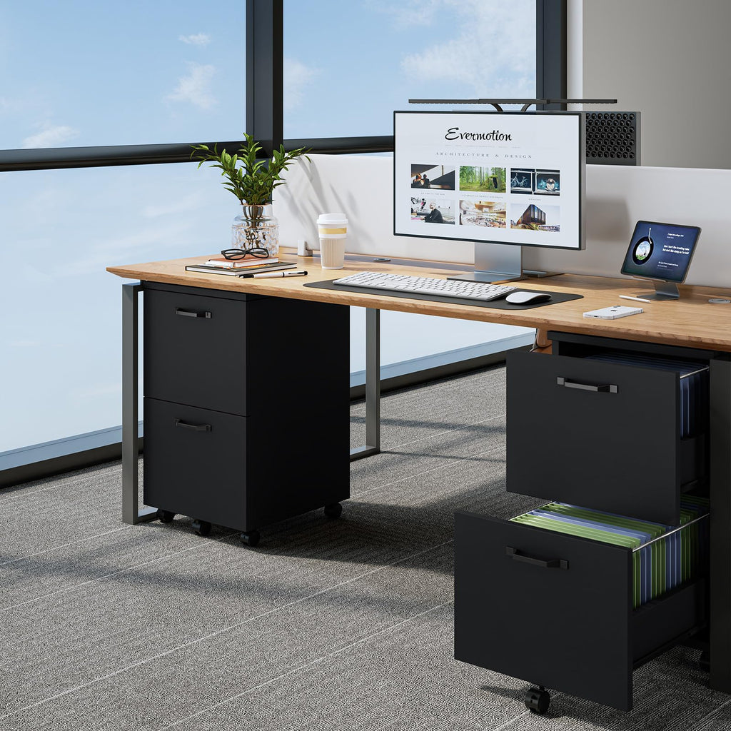 2 Drawer Rolling Storage Cabinet B17646