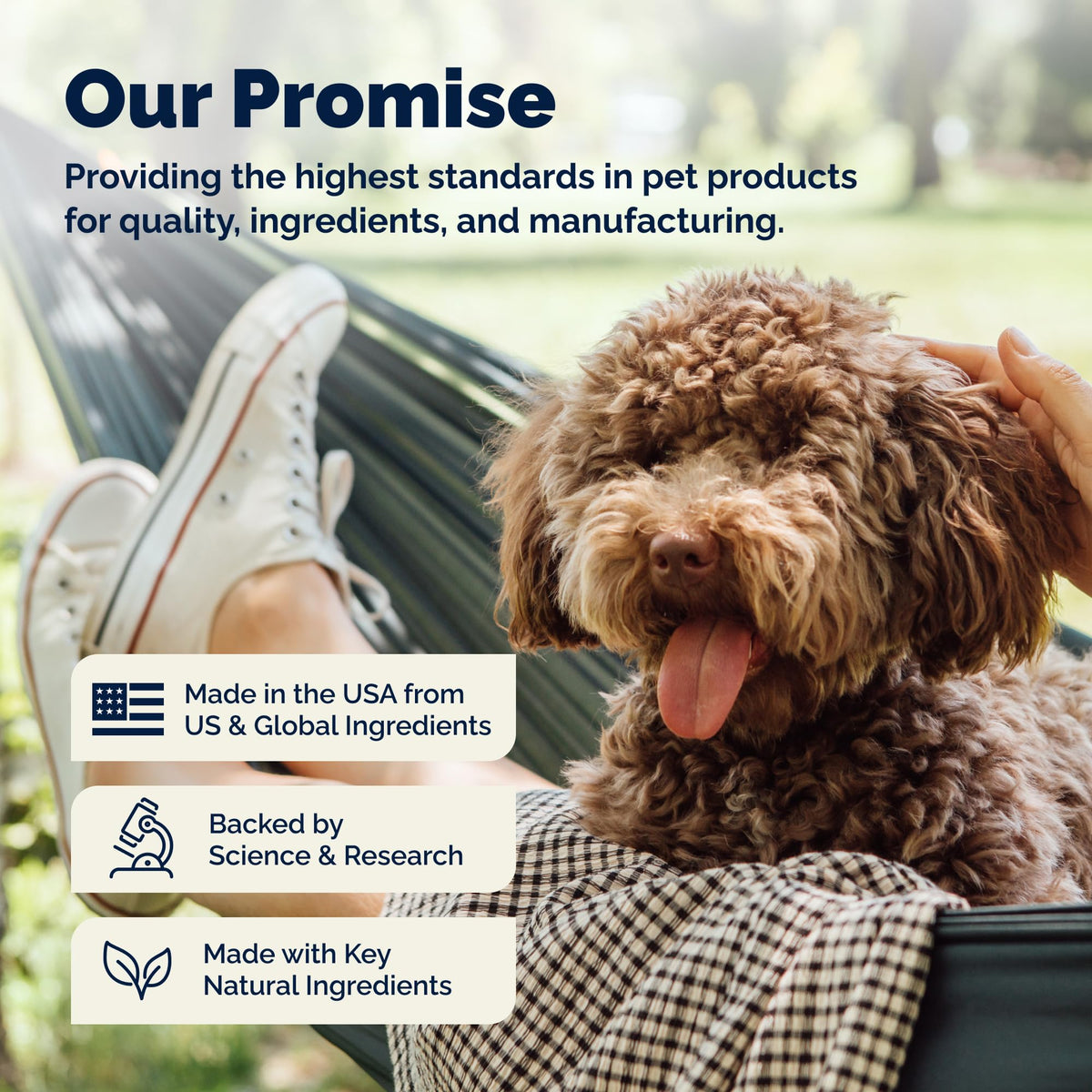 Medicated Cat & Dog Shampoo O71530
