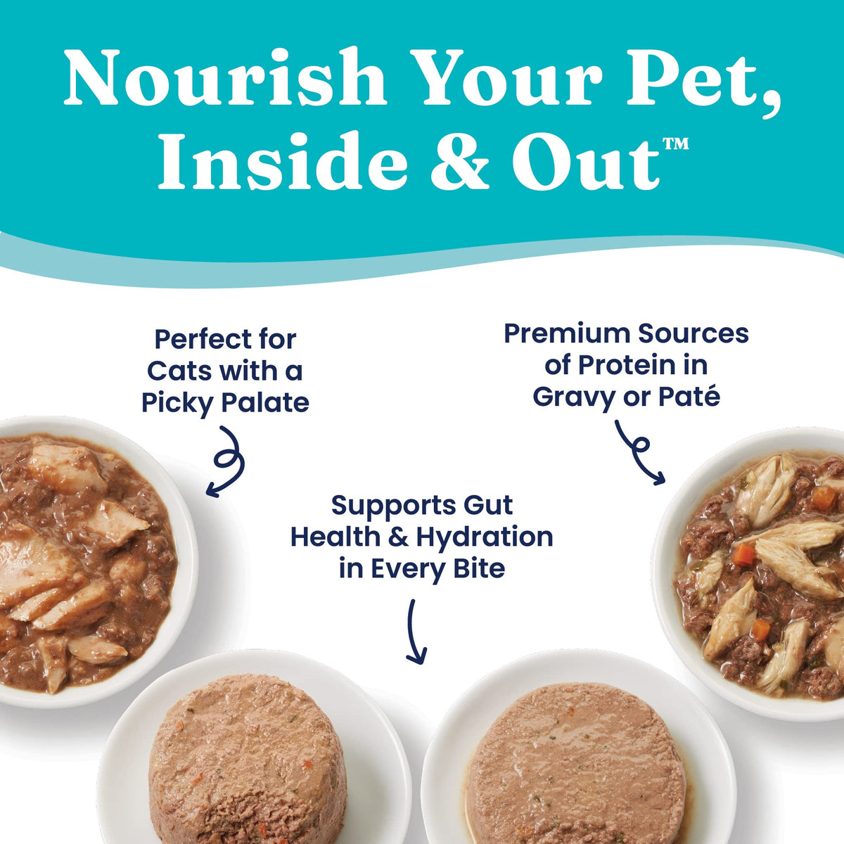Salmon Dry Cat Food and Wet Cat Food Variety Pack J1755