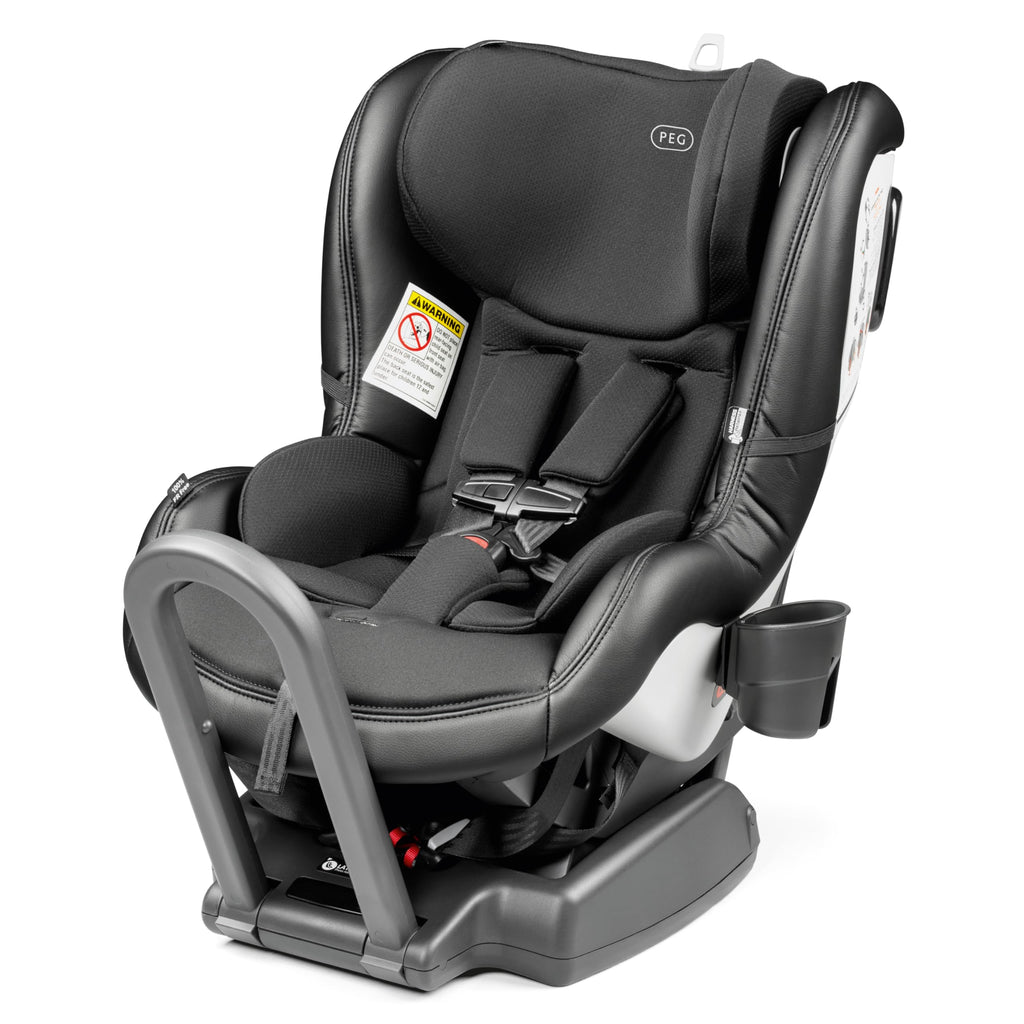 Reversible Convertible Car Seat D117223