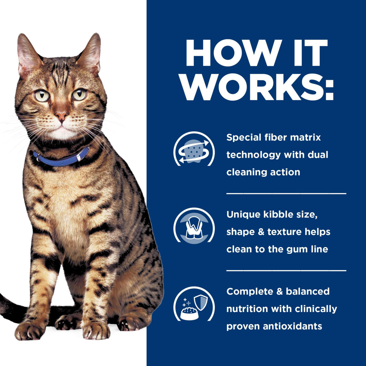 Prescription Diet Dental Care Dry Cat Food S370651