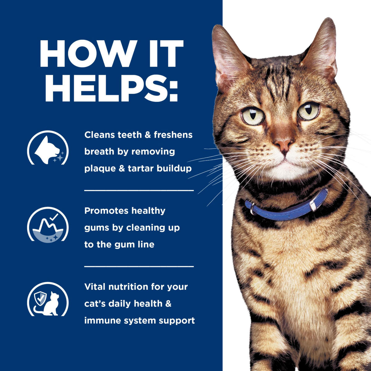 Prescription Diet Dental Care Dry Cat Food S370651