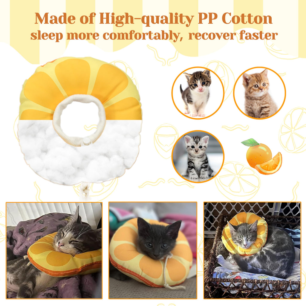 Extra Small Cone Collar K1545