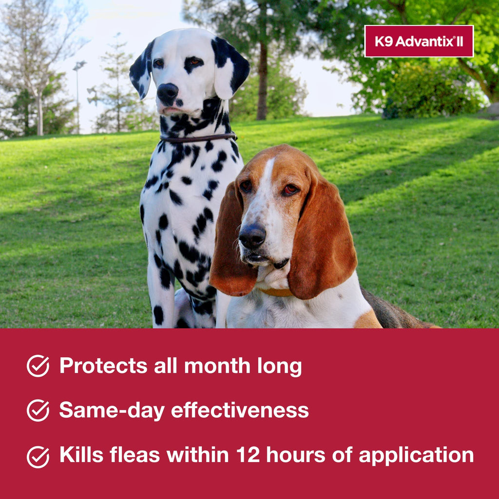 Flea, Tick & Mosquito Treatment & Prevention for Dogs Over 55 lbs C435202