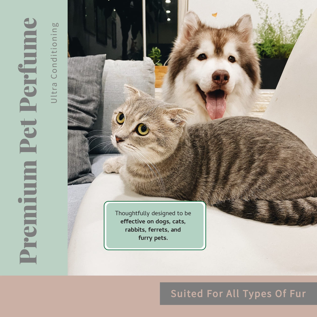 Pet Cologne and Deodorizer 8 oz F351