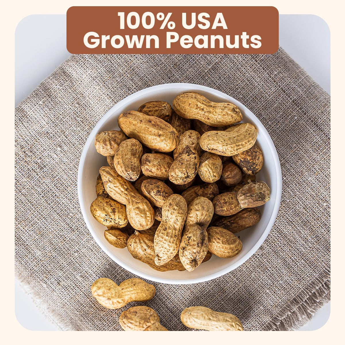 Unsalted Roasted In-Shell Peanuts 5 lb Bag T96703