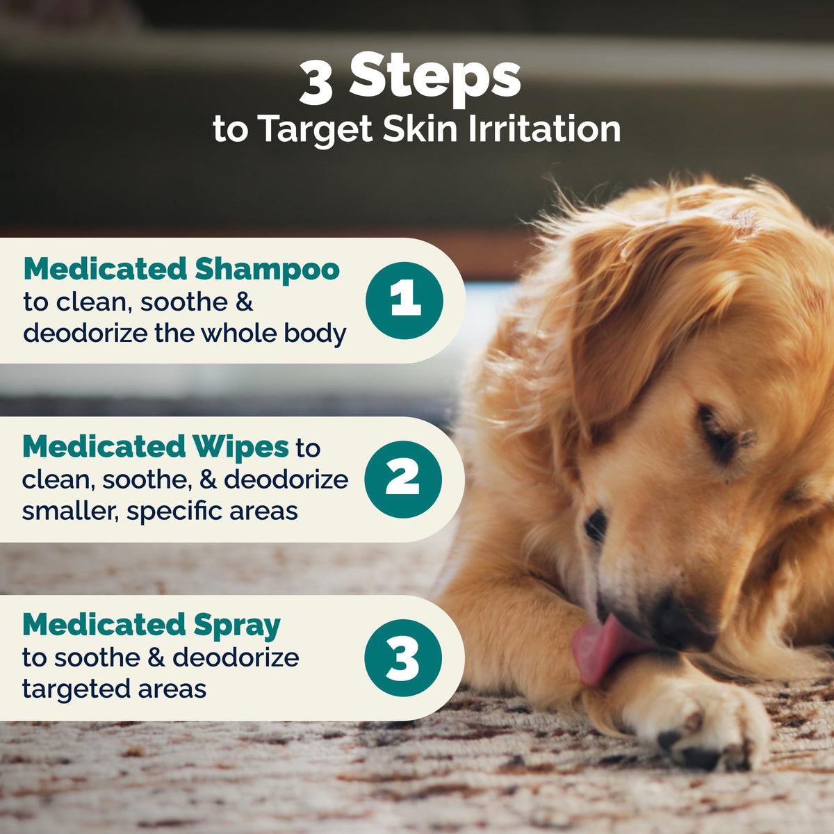 Medicated Cat & Dog Shampoo O71530